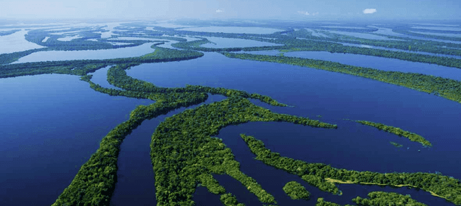 Concurso Amazonas 2023: panorama de editais; confira!